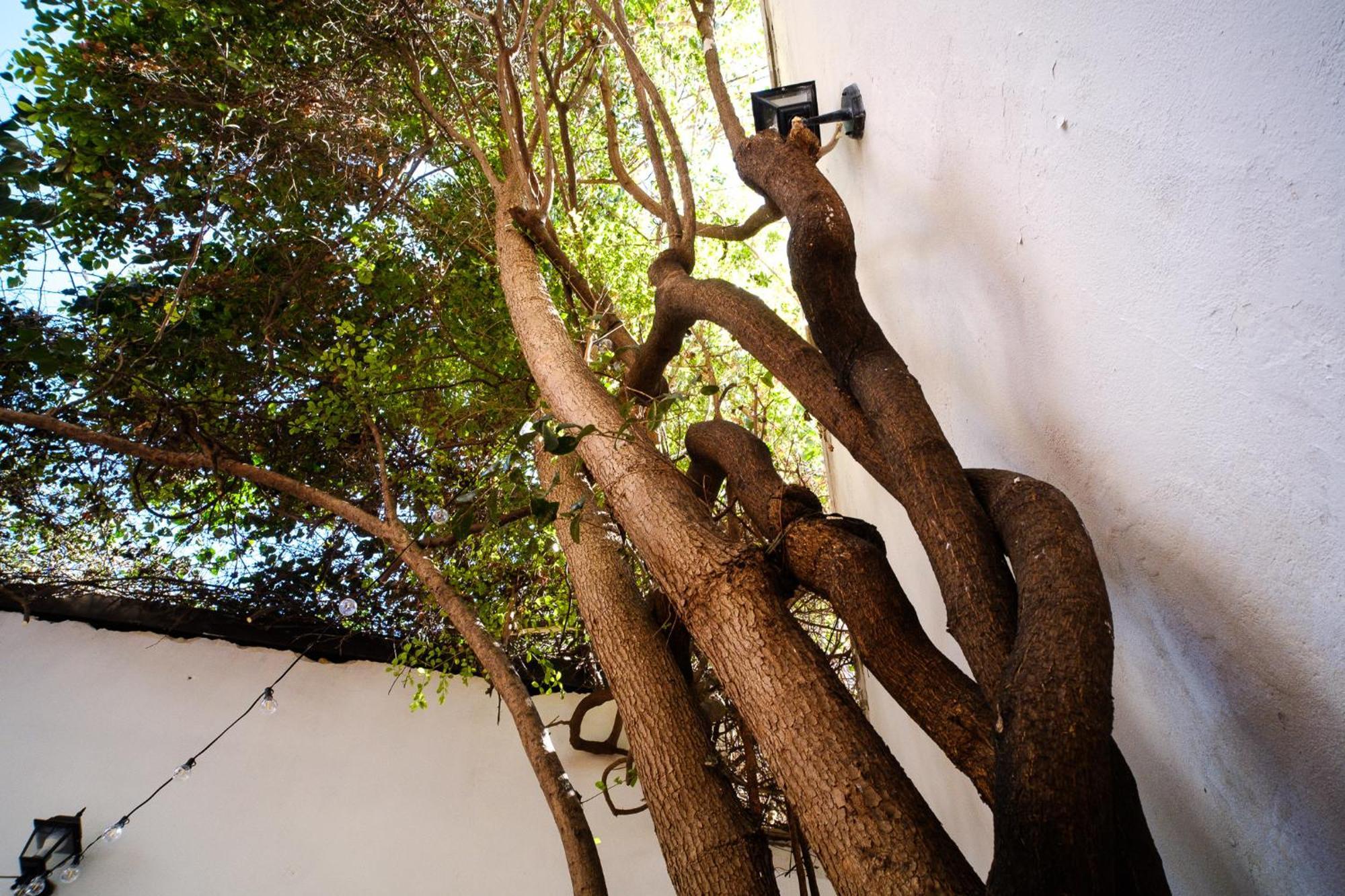 Casa Messe Villa Palermo Ngoại thất bức ảnh